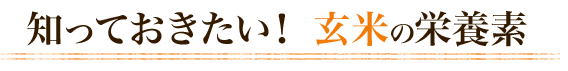 知っておきたい玄米の栄養素