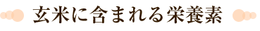 玄米に含まれる栄養素